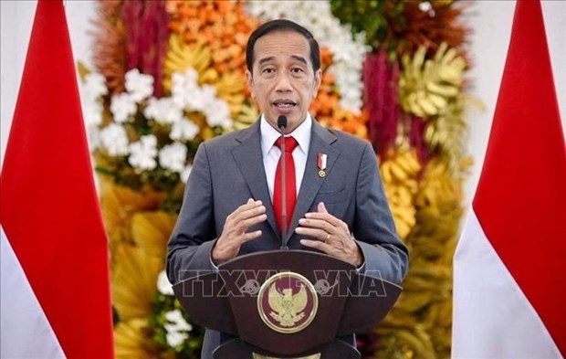 Reitera Indonesia apoyo a Consenso de Cinco Puntos sobre Myanmar hinh anh 1