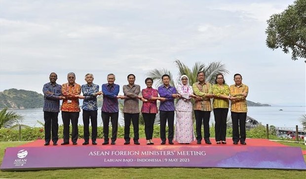 Vietnam exhorta a promover solidaridad y unidad en la ASEAN hinh anh 1