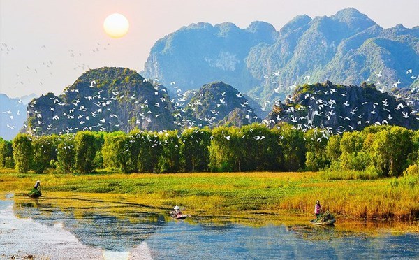 Vietnam se esfuerza por conservacion y uso sostenible de los humedales hinh anh 1