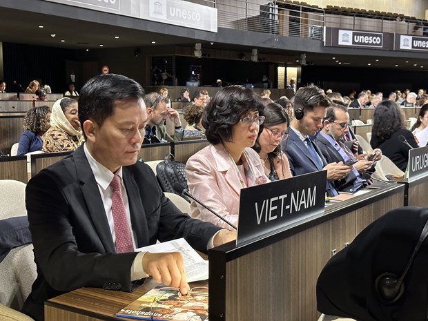 Vietnam promueve cooperacion multilateral y vinculos con areas profesionales de UNESCO hinh anh 1