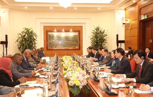 Partidos de Vietnam y Tanzania mejoran la cooperacion hinh anh 2