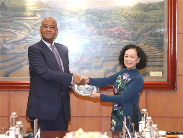 Partidos de Vietnam y Tanzania mejoran la cooperacion hinh anh 1