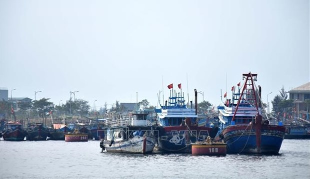 Localidades vietnamitas fortalecen vigilancia contra actividades de pesca ilegal hinh anh 1