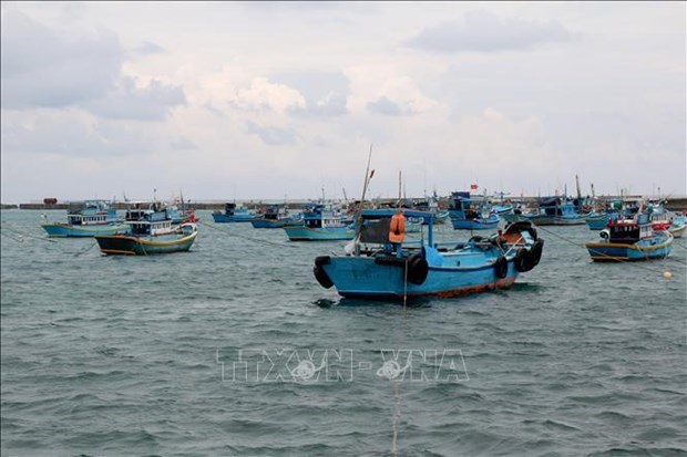 Provincia centrovietnamita de Binh Thuan se moviliza para poner fin a la pesca ilegal hinh anh 1