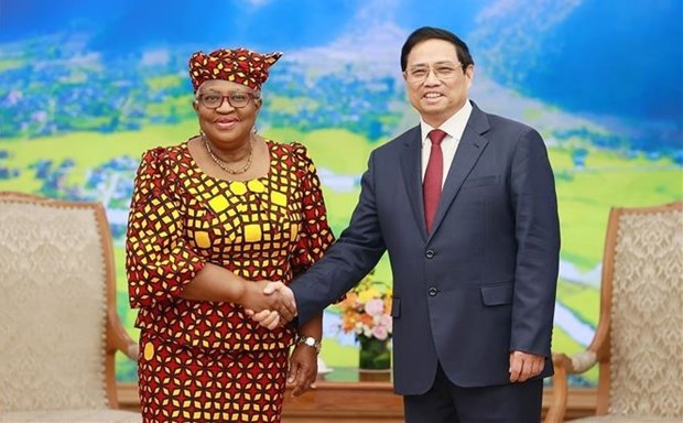 Premier vietnamita recibe a directora general de OMC hinh anh 1