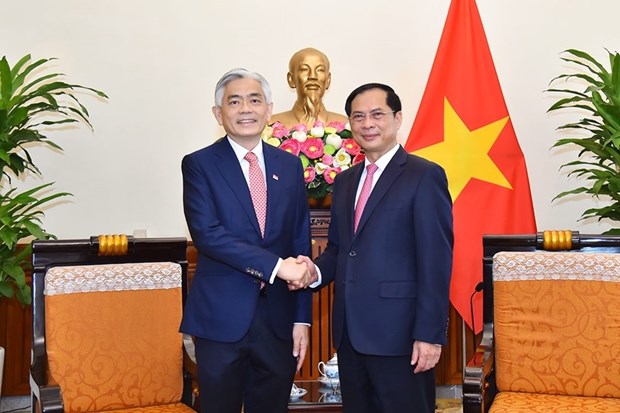 Organizan XV Consulta Politica Vietnam-Singapur hinh anh 2