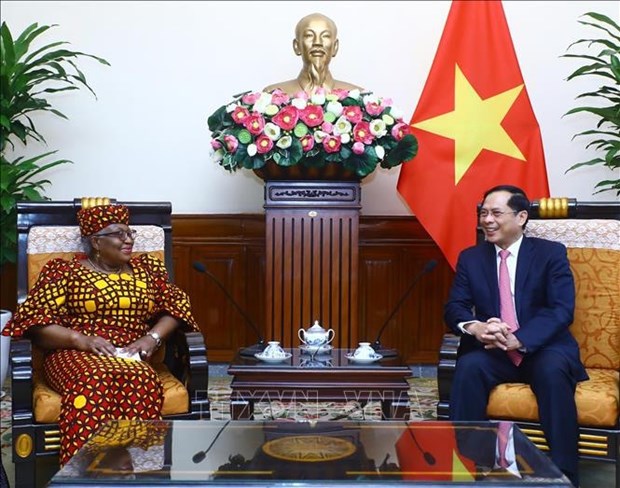 Canciller vietnamita recibe a directora general de OMC hinh anh 1