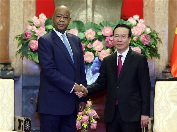 Agilizan lazos multifaceticos entre Vietnam y Tanzania hinh anh 2