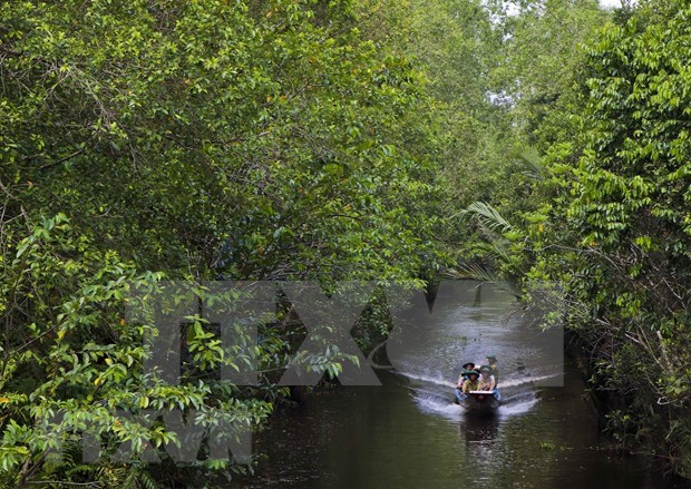 Reserva natural en Delta del Mekong aprovecha potencial del ecoturismo hinh anh 1
