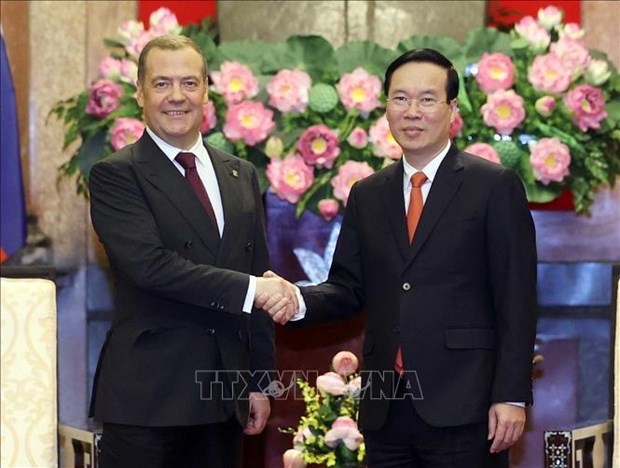Presidente vietnamita recibe a dirigente partidista ruso hinh anh 1