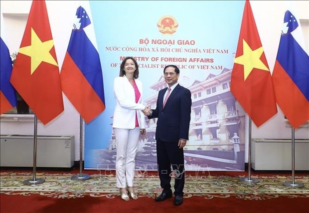 Vietnam aspira a fortalecer cooperacion multifacetica con Eslovenia hinh anh 1
