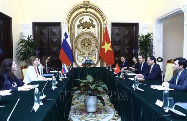 Vietnam aspira a fortalecer cooperacion multifacetica con Eslovenia hinh anh 2