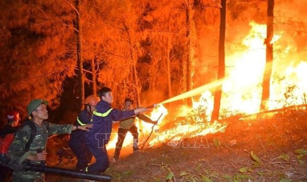 Premier exhorta a adoptar medidas preventivas contra incendios forestales hinh anh 1