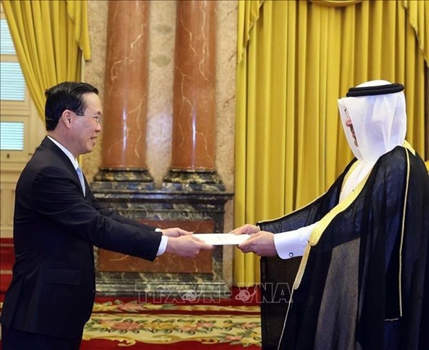 Presidente de Vietnam recibe credenciales de nuevos embajadores hinh anh 1