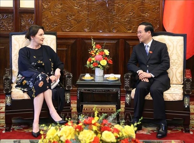 Presidente de Vietnam recibe credenciales de nuevos embajadores hinh anh 3