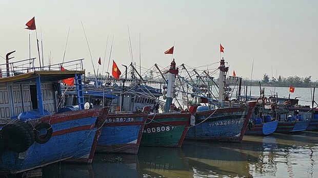 Vietnam por elevar conciencia sobre desarrollo sostenible de pesca hinh anh 1