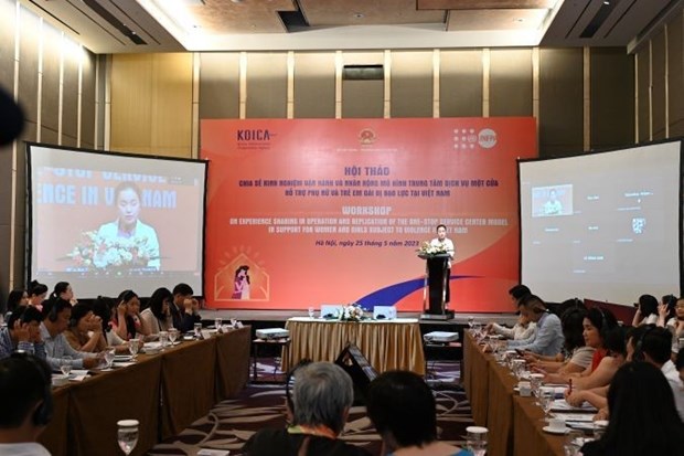 Socios internacionales debaten modelo de apoyo a victimas de violencia en Vietnam hinh anh 1