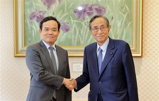Viceprimer ministro vietnamita continua agenda de trabajo en Japon hinh anh 2