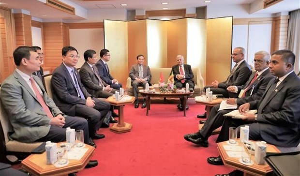 Viceprimer ministro vietnamita continua agenda de trabajo en Japon hinh anh 1