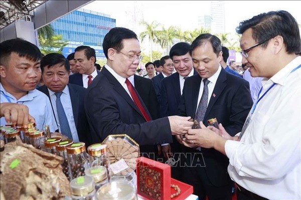 Busca provincia vietnamita a atraer mayor inversion nacional y extranjera hinh anh 2