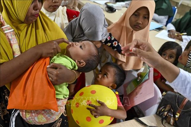Indonesia se propone reducir retraso del crecimiento infantil hinh anh 1