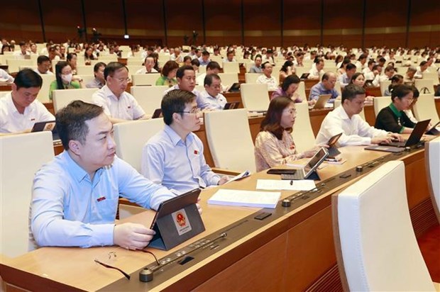 Evalua Parlamento vietnamita uso de recursos para lucha contra COVID-19 hinh anh 2