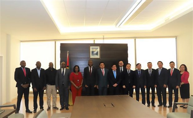 Vietnam y Mozambique fortalecen cooperacion en desarrollo agricola hinh anh 2
