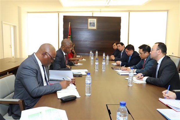 Vietnam y Mozambique fortalecen cooperacion en desarrollo agricola hinh anh 1