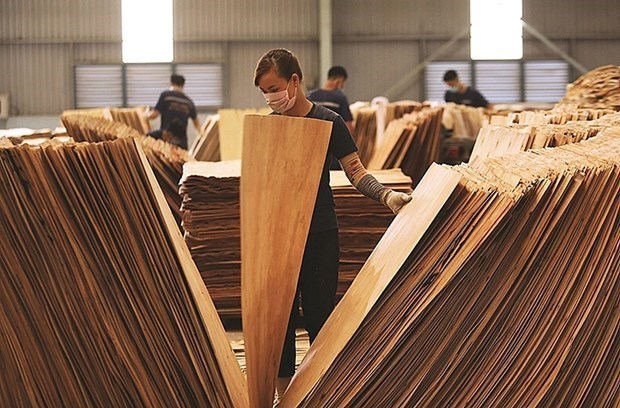 EE.UU extiende plazo de emitir conclusion sobre madera contrachapada vietnamita hinh anh 1