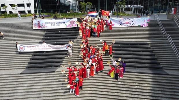 Vietnamitas organizan festival cultural en Paises Bajos hinh anh 1