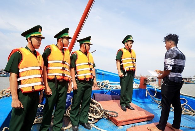 Localidades de Vietnam intensifican lucha contra IUU hinh anh 1