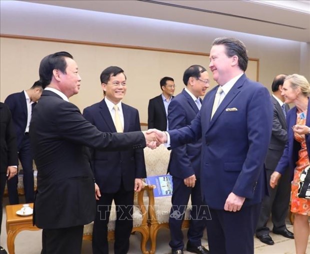 Vicepremier vietnamita recibe a embajadores holandes y estadounidense hinh anh 1