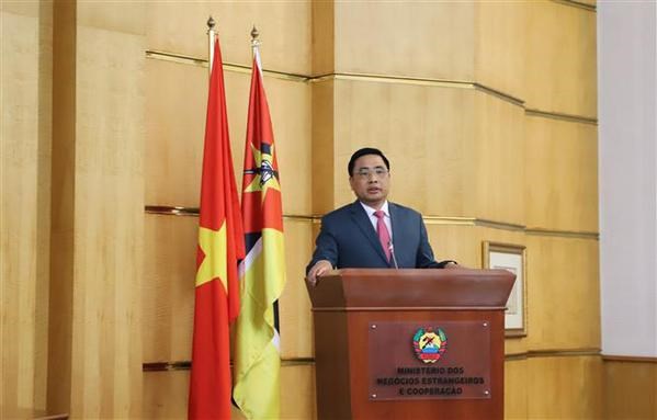 Fomentan Vietnam y Mozambique cooperacion multifacetica hinh anh 2
