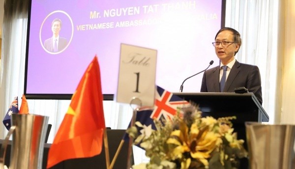 Buscan Vietnam y Australia elevar relaciones de asociacion a nueva altura hinh anh 1