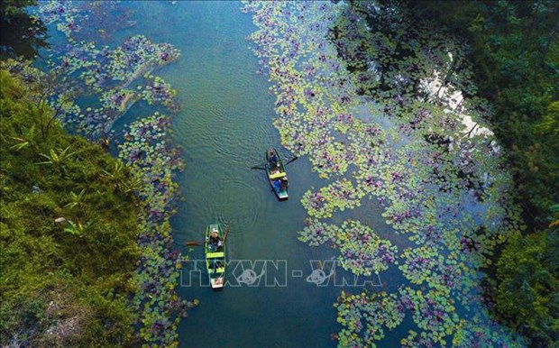 Vietnam trabaja por controlar contaminacion ambiental en actividades turisticas hinh anh 1