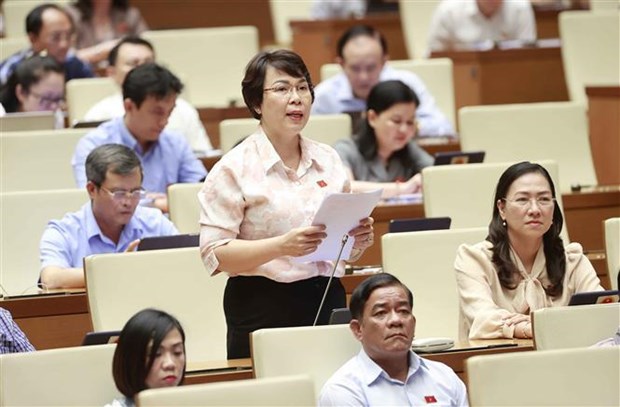 Parlamento vietnamita adoptara Resolucion sobre elaboracion de leyes y ordenanzas hinh anh 2