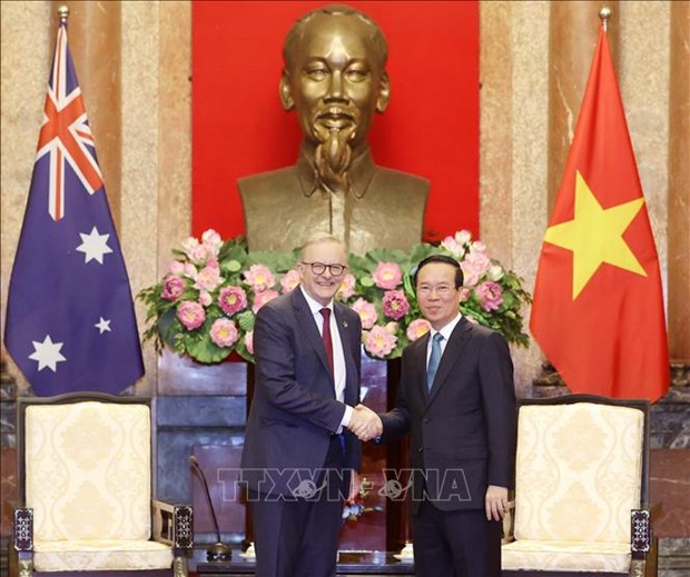 Vietnam y Australia abogan por fortalecer la confianza politica hinh anh 1