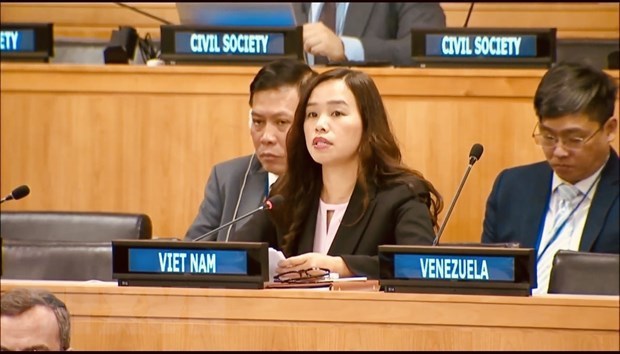 Vietnam enfatiza que marco global de gestion de municiones debe ser conforme al derecho internacional hinh anh 1