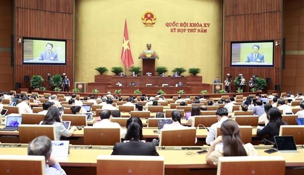 Funcionario vietnamita aclara cuestiones sobre asuntos etnicos hinh anh 1