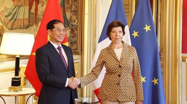 Vietnam y Francia esperan llevar cooperacion bilateral a un nuevo nivel hinh anh 1