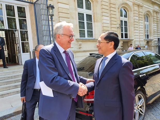 Vietnam concede al desarrollo de nexos de cooperacion con Francia, afirma canciller hinh anh 1