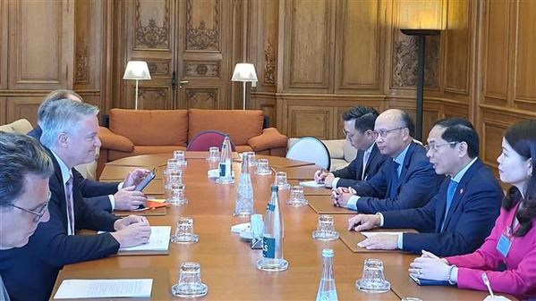 Canciller vietnamita se reune con secretario general de OCDE en Paris hinh anh 2