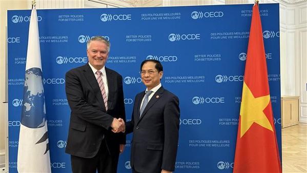Canciller vietnamita se reune con secretario general de OCDE en Paris hinh anh 1