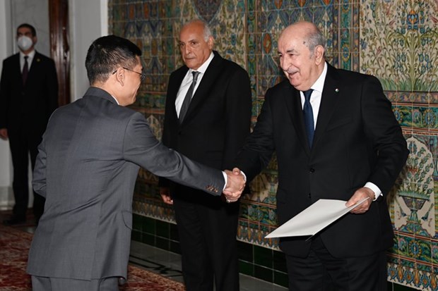 Presidente de Argelia valora logros de desarrollo de Vietnam hinh anh 1