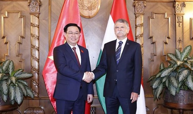 Vicepresidenta del Parlamento hungaro confia en desarrollo de nexos con Vietnam hinh anh 2