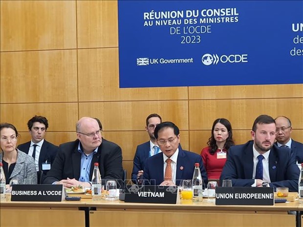 Vietnam afirma determinacion sobre transicion verde en OCDE hinh anh 1
