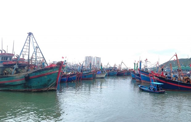 Provincia vietnamita persiste en combate a la pesca ilegal hinh anh 1