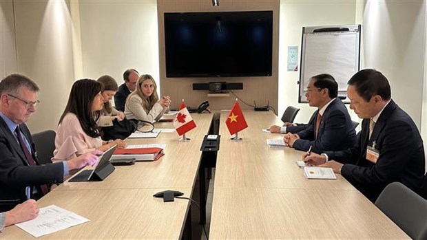 Canciller vietnamita sostiene encuentros con dirigentes de otros paises en Paris hinh anh 4