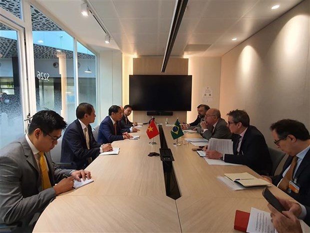 Canciller vietnamita sostiene encuentros con dirigentes de otros paises en Paris hinh anh 1