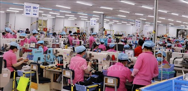 Kien Giang registra aumento de 10 por ciento del valor de produccion industrial hinh anh 1